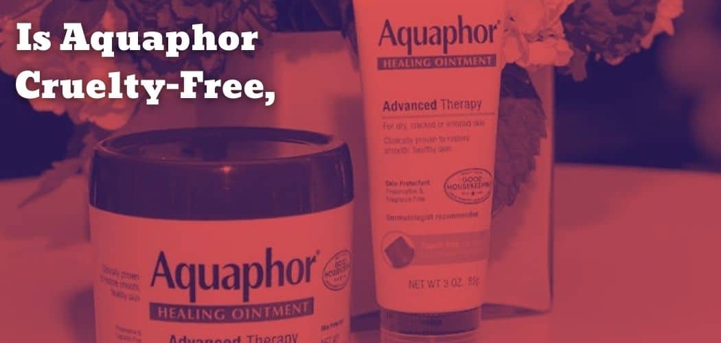 Is Aquaphor Cruelty-Free, Vegan-Friendly, and Sustainable?
