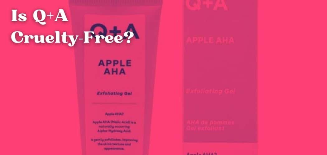 Is Q+A Cruelty-Free?