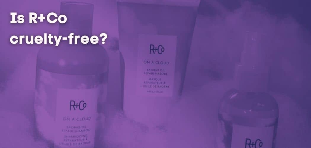 Is R+Co cruelty-free?
