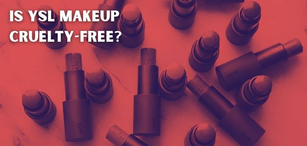 Is YSL Makeup Cruelty-Free?