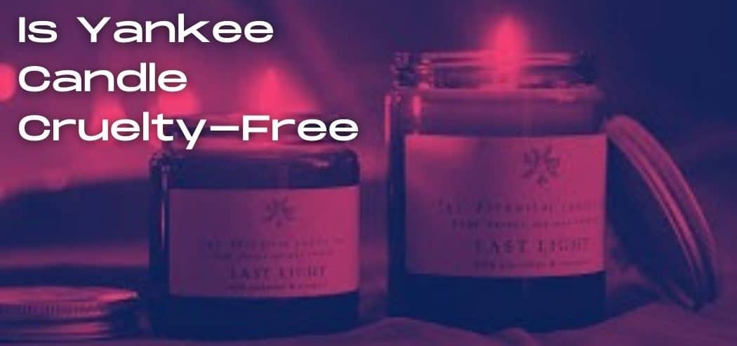 Is Yankee Candle Cruelty-Free